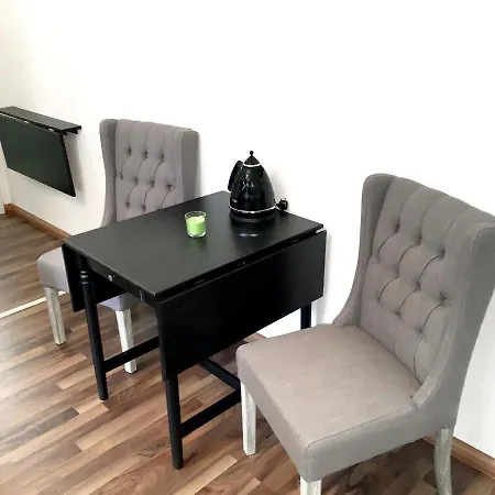 公寓 Cozy In The Heart Of 30 M² View 埃尔福特